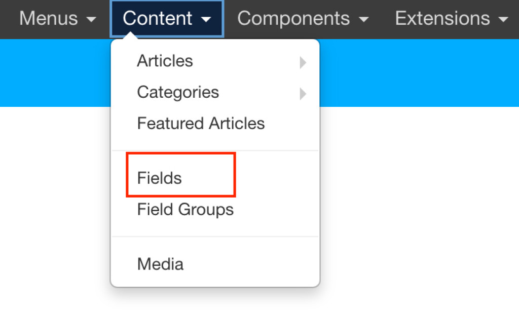 Joomla Custom Fields
